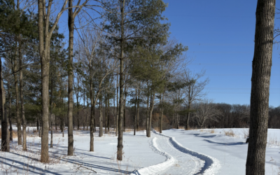 A Winter Nervous System Reset