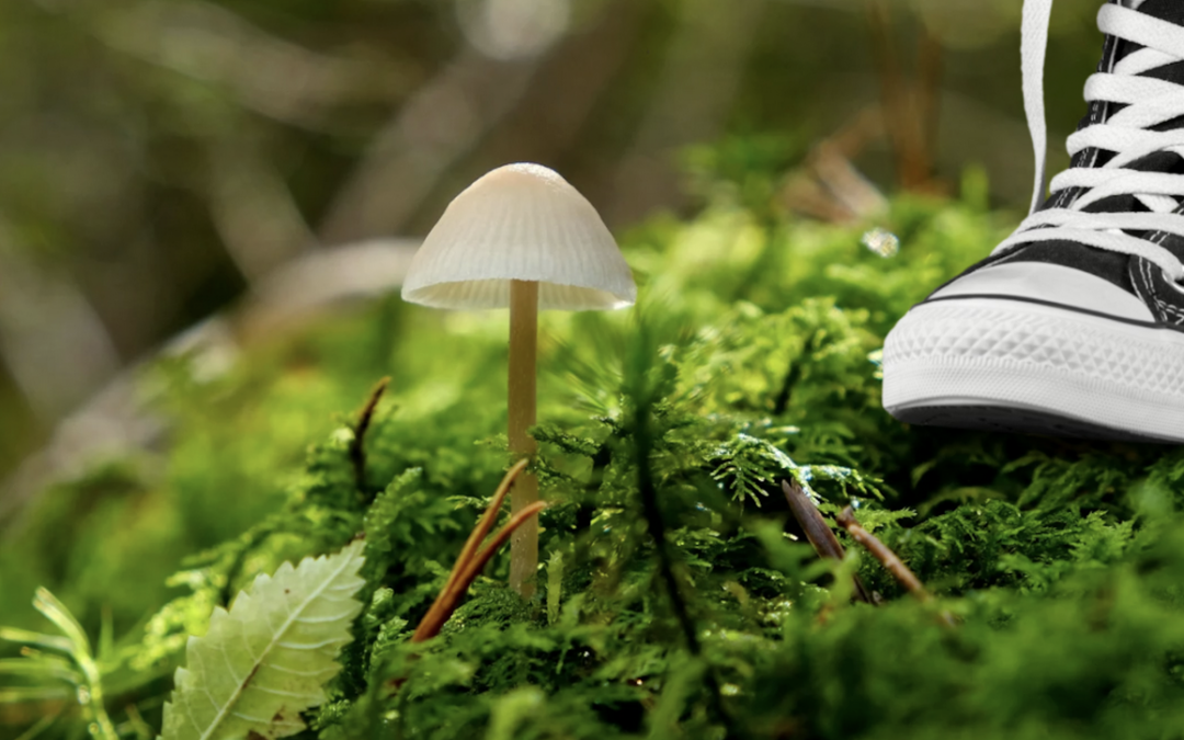 The Gift Of Perspective