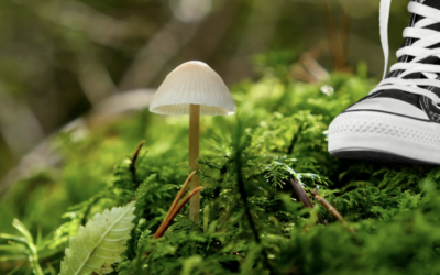 The Gift Of Perspective