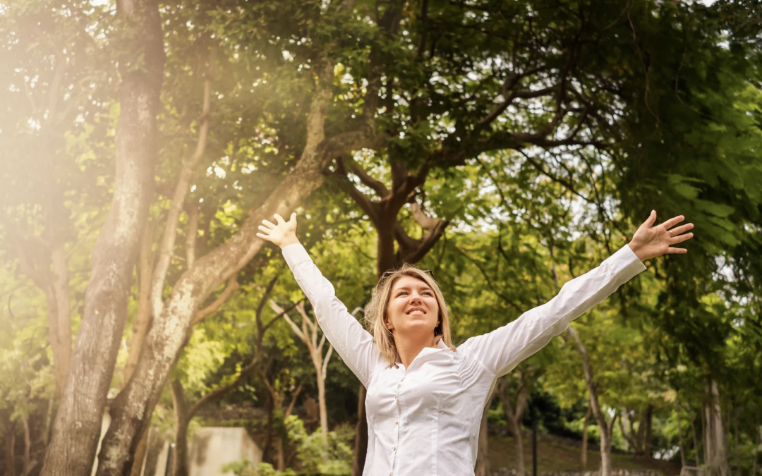 The Power of a Spring Nervous System Reset